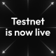 midnight testnet